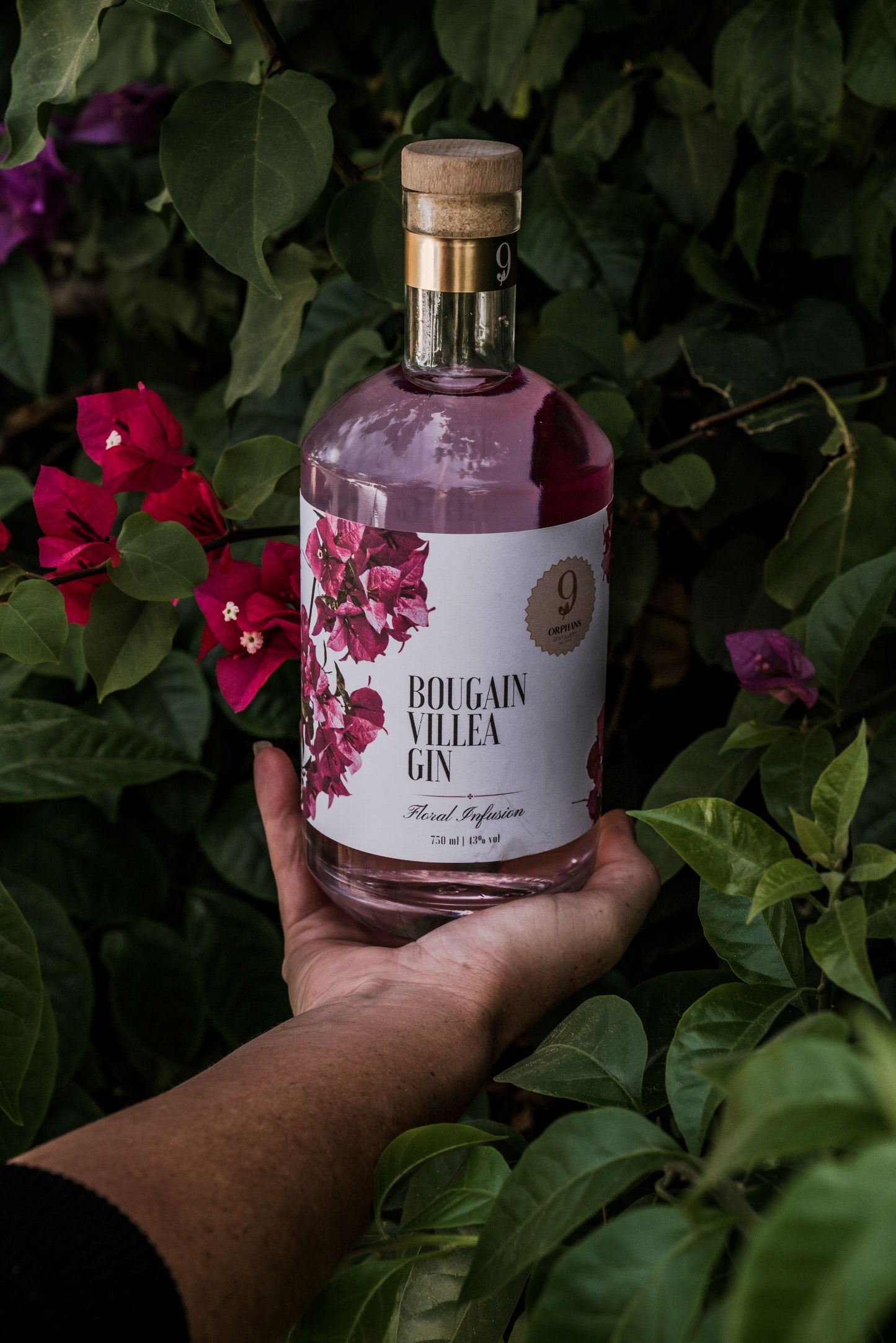 Bougainvillea Gin